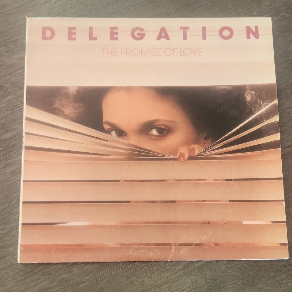 The Promise of Love Vinyl Record